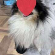 ヒメ日記 2025/12/18 13:04 投稿 えみり ルーブル