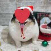 ヒメ日記 2025/12/18 19:24 投稿 えみり ルーブル