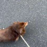 ヒメ日記 2025/12/23 20:34 投稿 えみり ルーブル