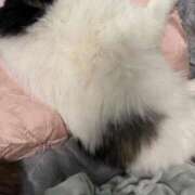 ヒメ日記 2026/01/13 16:34 投稿 えみり ルーブル