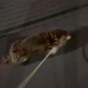 ヒメ日記 2026/02/05 01:04 投稿 えみり ルーブル