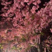 ヒメ日記 2026/03/03 16:34 投稿 えみり ルーブル