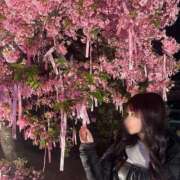 ヒメ日記 2026/03/05 11:54 投稿 えみり ルーブル