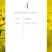 ヒメ日記 2026/04/04 17:24 投稿 えみり ルーブル