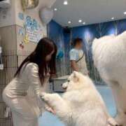 ヒメ日記 2026/04/20 12:24 投稿 えみり ルーブル