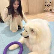 ヒメ日記 2026/04/27 09:44 投稿 えみり ルーブル