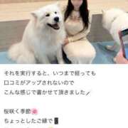 ヒメ日記 2026/04/29 20:24 投稿 えみり ルーブル