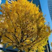 ヒメ日記 2025/12/07 22:14 投稿 はるひ 性腺熟女100％鶯谷（デリヘル市場）