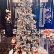 ヒメ日記 2025/12/18 23:39 投稿 はるひ 性腺熟女100％鶯谷（デリヘル市場）