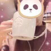 ヒメ日記 2025/01/17 18:15 投稿 しほ 性腺熟女100％鶯谷（デリヘル市場）