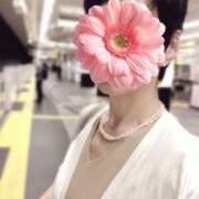 ヒメ日記 2025/06/11 16:12 投稿 しほ 性腺熟女100％鶯谷（デリヘル市場）