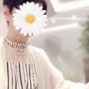 ヒメ日記 2025/06/25 18:15 投稿 しほ 性腺熟女100％鶯谷（デリヘル市場）