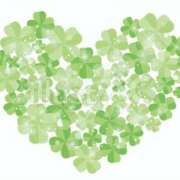 ヒメ日記 2025/09/26 12:32 投稿 しほ 性腺熟女100％鶯谷（デリヘル市場）