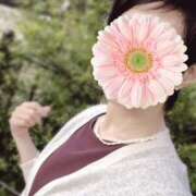 ヒメ日記 2025/09/28 00:37 投稿 しほ 性腺熟女100％鶯谷（デリヘル市場）