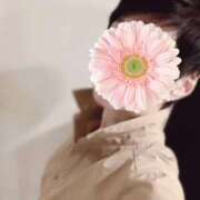 ヒメ日記 2025/11/01 14:03 投稿 しほ 性腺熟女100％鶯谷（デリヘル市場）