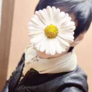 ヒメ日記 2025/11/09 23:13 投稿 しほ 性腺熟女100％鶯谷（デリヘル市場）