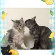 ヒメ日記 2025/06/04 12:20 投稿 はるか 性腺熟女100％鶯谷（デリヘル市場）