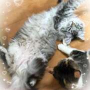 ヒメ日記 2025/07/16 13:20 投稿 はるか 性腺熟女100％鶯谷（デリヘル市場）