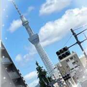 ヒメ日記 2025/08/01 15:31 投稿 はるか 性腺熟女100％鶯谷（デリヘル市場）