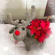 ヒメ日記 2025/12/17 12:37 投稿 はるか 性腺熟女100％鶯谷（デリヘル市場）