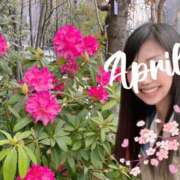 ヒメ日記 2025/04/12 19:15 投稿 あみ 性腺熟女100％鶯谷（デリヘル市場）