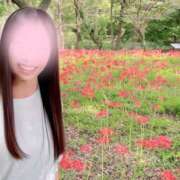 ヒメ日記 2025/10/02 17:30 投稿 あみ 性腺熟女100％鶯谷（デリヘル市場）