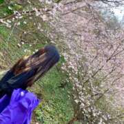 ヒメ日記 2026/03/31 20:20 投稿 あみ 性腺熟女100％鶯谷（デリヘル市場）