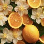 ヒメ日記 2024/12/24 17:17 投稿 しずか 性腺熟女100％鶯谷（デリヘル市場）