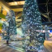 ヒメ日記 2024/12/31 19:58 投稿 しずか 性腺熟女100％鶯谷（デリヘル市場）