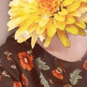 ヒメ日記 2025/03/15 23:16 投稿 はるな 性腺熟女100％鶯谷（デリヘル市場）