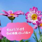 ヒメ日記 2025/05/13 08:39 投稿 はるな 性腺熟女100％鶯谷（デリヘル市場）