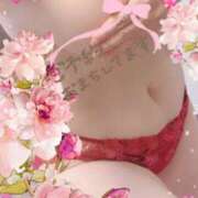 ヒメ日記 2025/06/17 15:40 投稿 はるな 性腺熟女100％鶯谷（デリヘル市場）