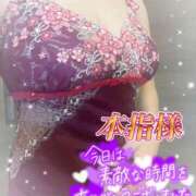 ヒメ日記 2025/11/19 22:17 投稿 はるな 性腺熟女100％鶯谷（デリヘル市場）