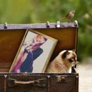 ヒメ日記 2025/03/30 12:35 投稿 ゆき 性腺熟女100％鶯谷（デリヘル市場）