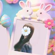 ヒメ日記 2026/04/21 22:10 投稿 ゆき 性腺熟女100％鶯谷（デリヘル市場）