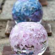 ヒメ日記 2024/12/24 12:59 投稿 あやめ 性腺熟女100％鶯谷（デリヘル市場）