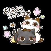 あやめ あやめ 性腺熟女100％鶯谷（デリヘル市場）