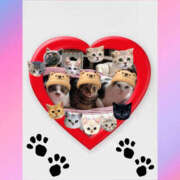 ヒメ日記 2024/12/14 20:10 投稿 ゆうき 性腺熟女100％鶯谷（デリヘル市場）