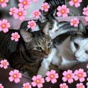 ヒメ日記 2025/04/04 18:30 投稿 ゆうき 性腺熟女100％鶯谷（デリヘル市場）