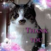 ヒメ日記 2025/04/16 15:15 投稿 ゆうき 性腺熟女100％鶯谷（デリヘル市場）