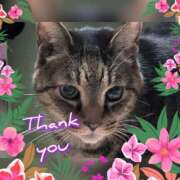 ヒメ日記 2025/04/19 20:10 投稿 ゆうき 性腺熟女100％鶯谷（デリヘル市場）