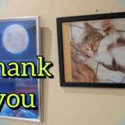 ゆうき 再会の御礼です♪ 性腺熟女100％鶯谷（デリヘル市場）