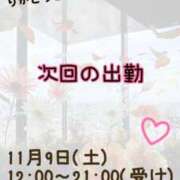 ヒメ日記 2024/11/04 22:11 投稿 まい【業界未経験】 茨城水戸ちゃんこ