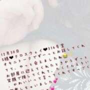 ヒメ日記 2024/12/31 19:41 投稿 まい【業界未経験】 茨城水戸ちゃんこ