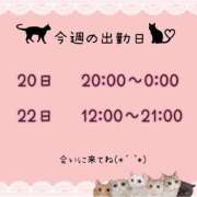 ヒメ日記 2026/02/16 21:39 投稿 まい【業界未経験】 茨城水戸ちゃんこ