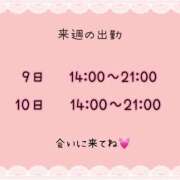 ヒメ日記 2026/03/08 00:05 投稿 まい【業界未経験】 茨城水戸ちゃんこ