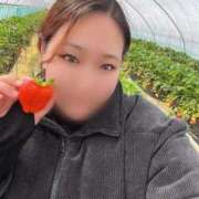 ヒメ日記 2026/03/13 14:45 投稿 まい【業界未経験】 茨城水戸ちゃんこ