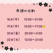 ヒメ日記 2026/03/13 21:46 投稿 まい【業界未経験】 茨城水戸ちゃんこ