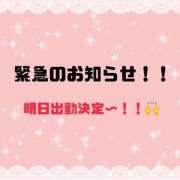 ヒメ日記 2026/03/28 22:07 投稿 まい【業界未経験】 茨城水戸ちゃんこ