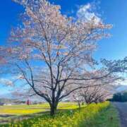 ヒメ日記 2026/04/02 21:05 投稿 まい【業界未経験】 茨城水戸ちゃんこ